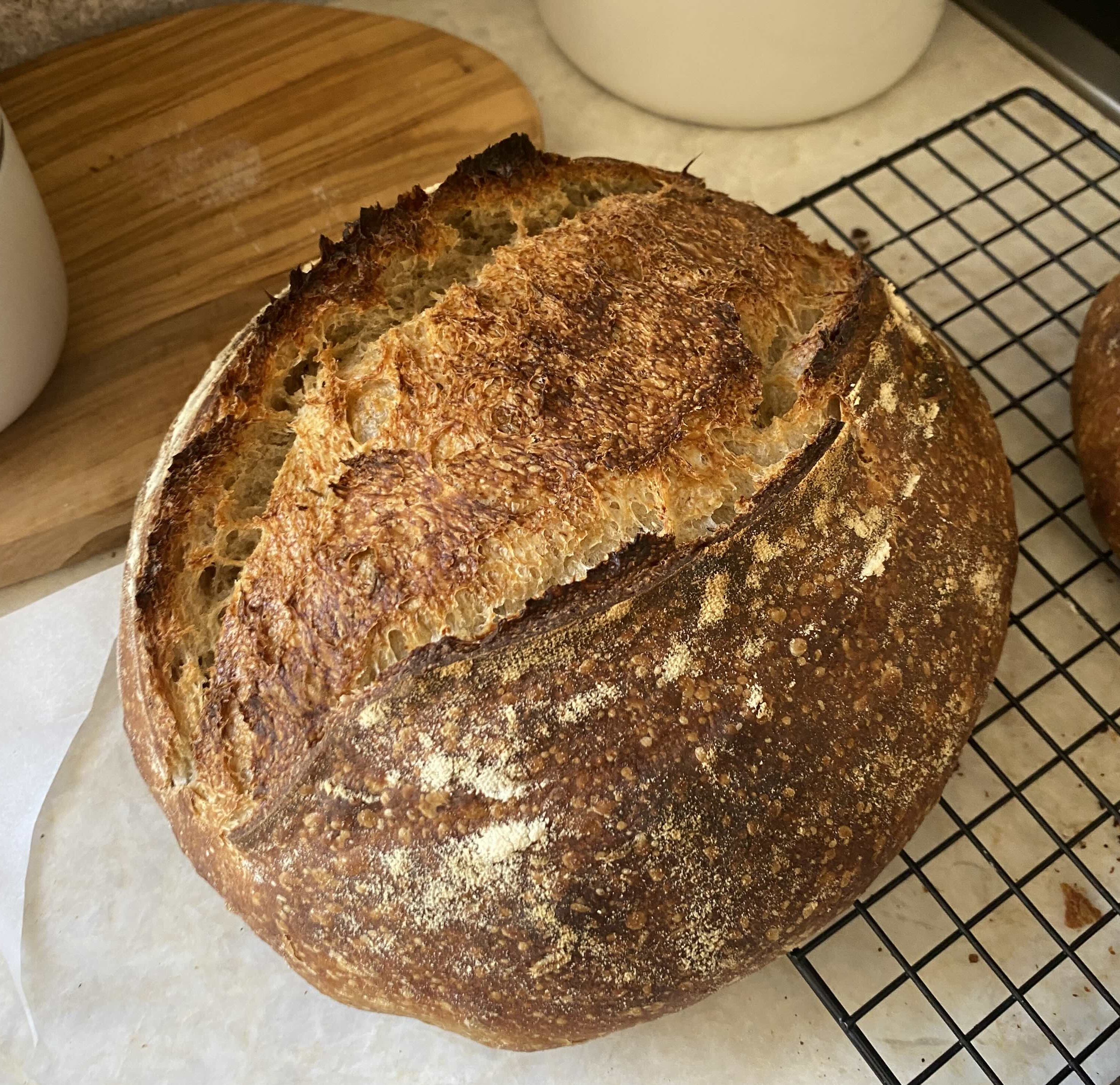 Fresh baked bread from our farm provisions
