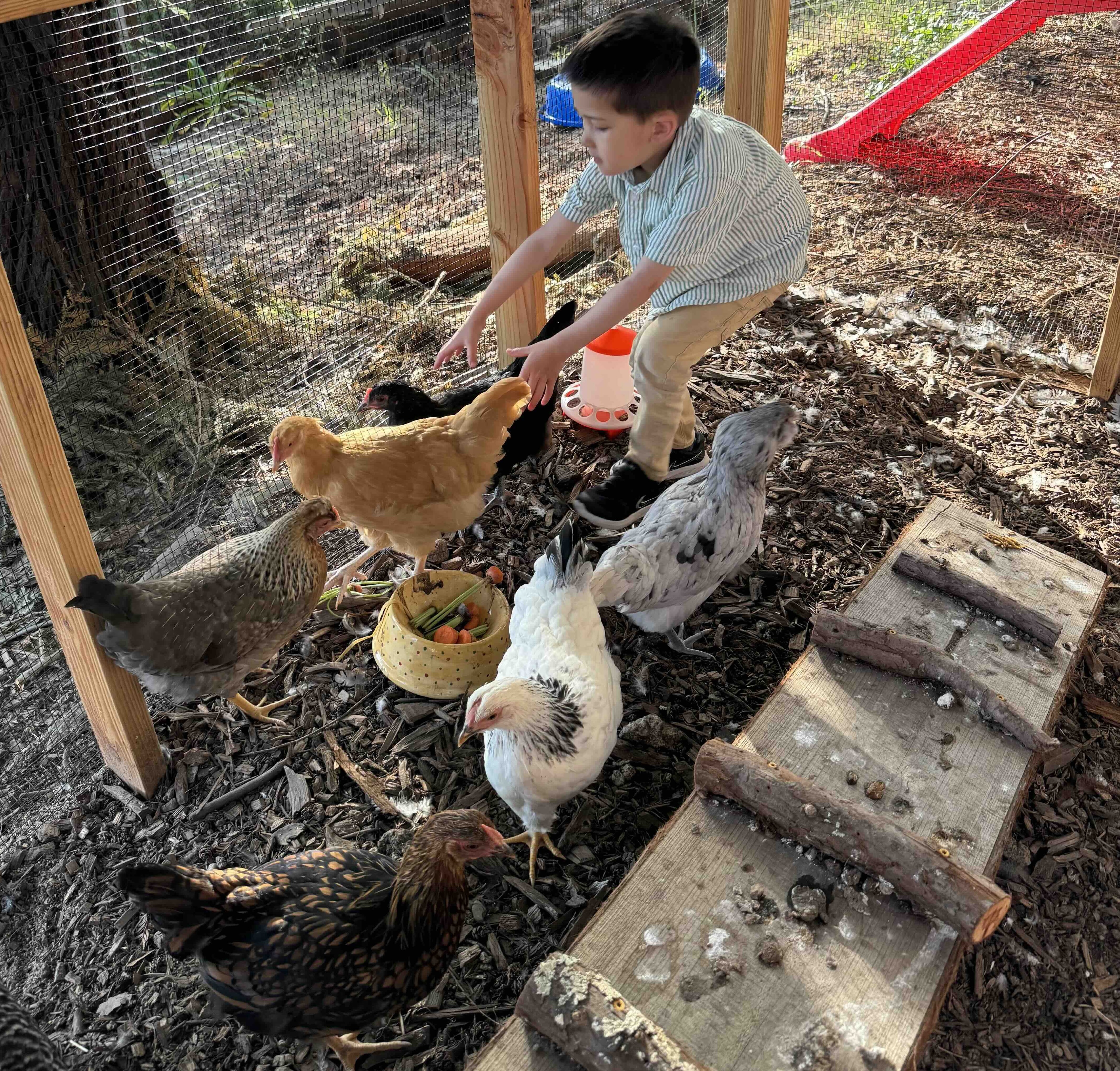 Farm life at our Oakland location