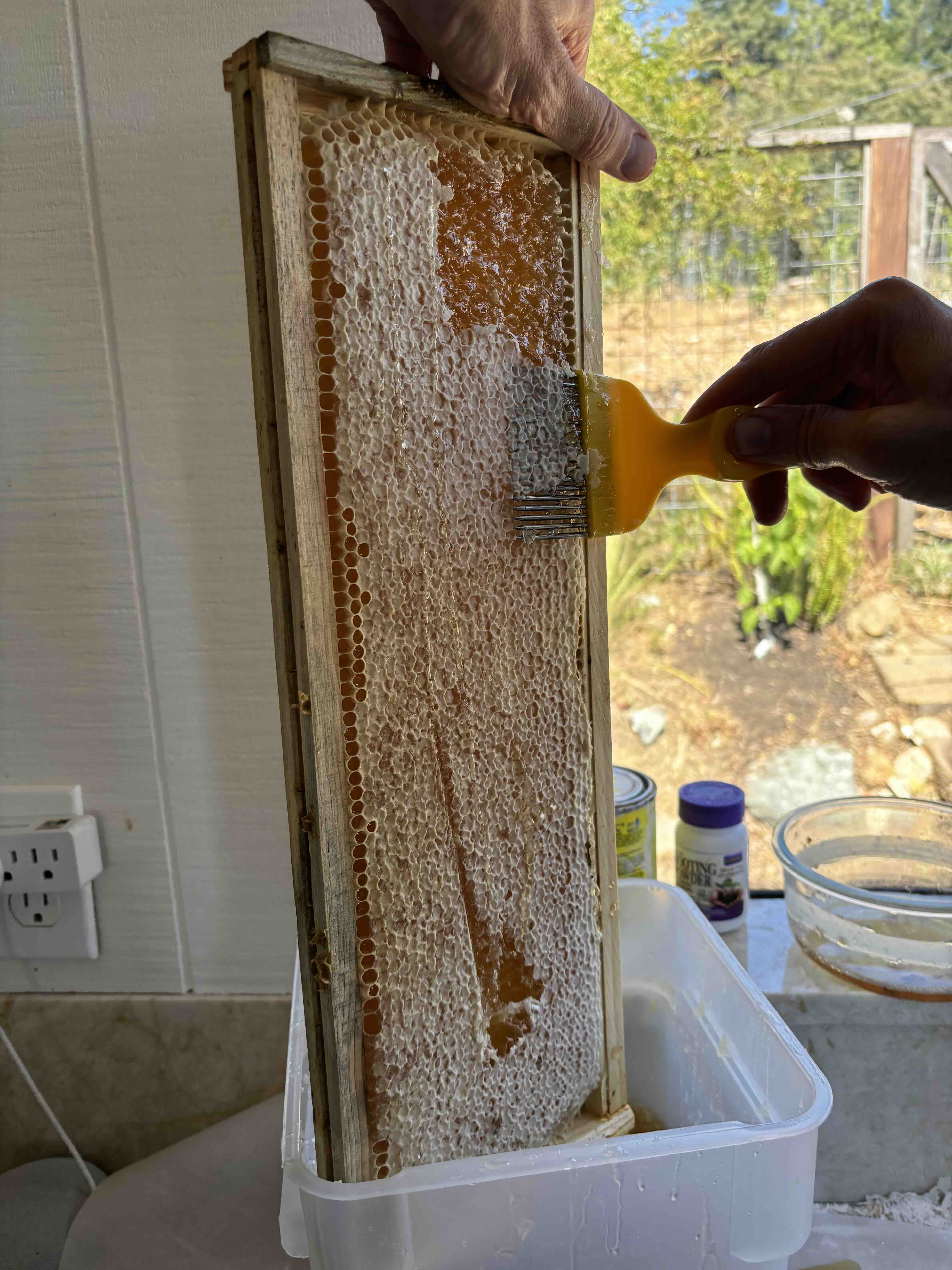 Uncapping honey frames at our Oakland farm